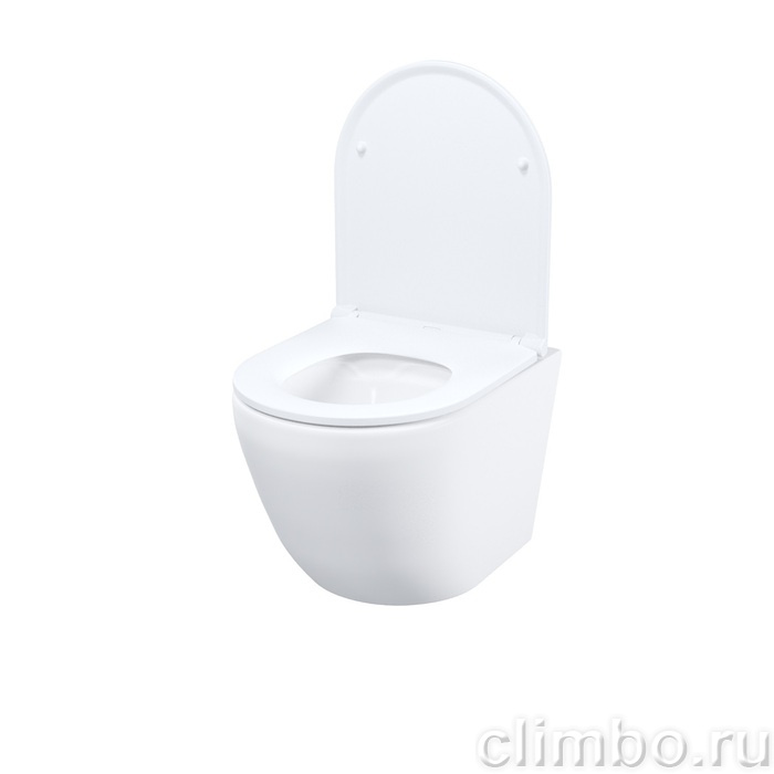 Унитаз подвесной безободковый, Бланко Кью (Blanco Q), IDDIS, BLQNDSEI25 — фото, детали конструкции